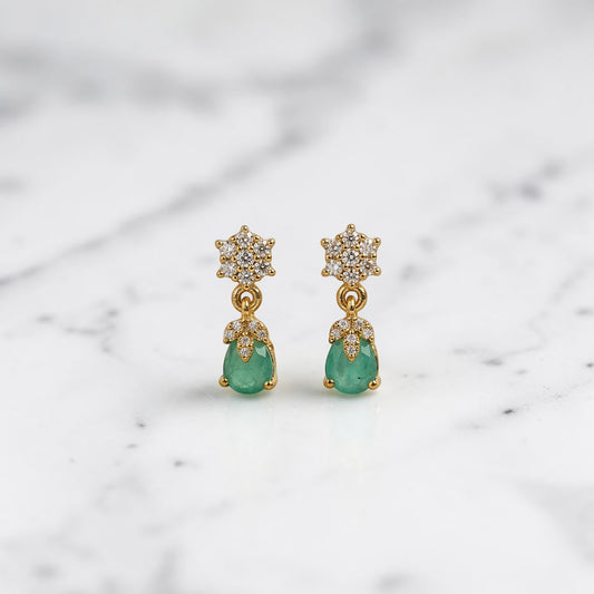 Elegant Earrings